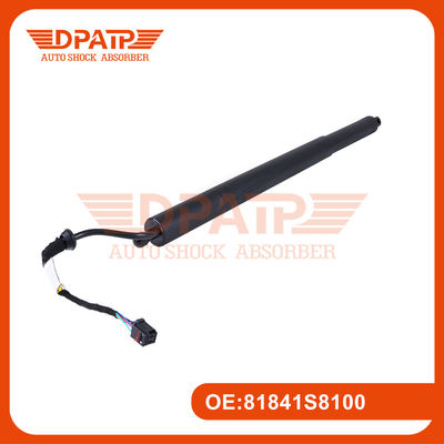 Power Liftgate Strut 81841S8100 81830S8100 cho Hyundai Palisade