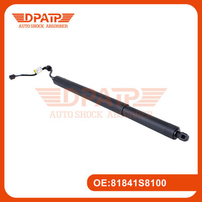 Power Liftgate Strut 81841S8100 81830S8100 cho Hyundai Palisade