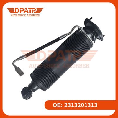 Air Suspension Coilovers Kit Máy hấp thụ sốc phía sau 2313201313 2313201413 cho Mercedes-benz 231