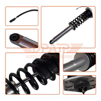 Phụ tùng ô tô 248256 Bộ giảm xóc lò xo treo sau giảm chấn cảm ứng cho Maserati Quattroporte M139 2007-